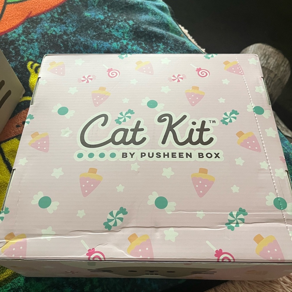 Pusheen winter 2025 cat box w/5 items